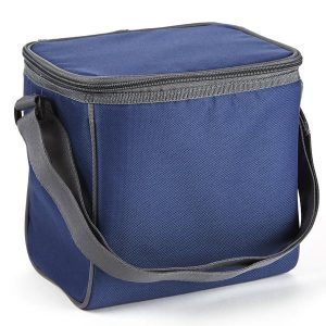 lunch carry bag